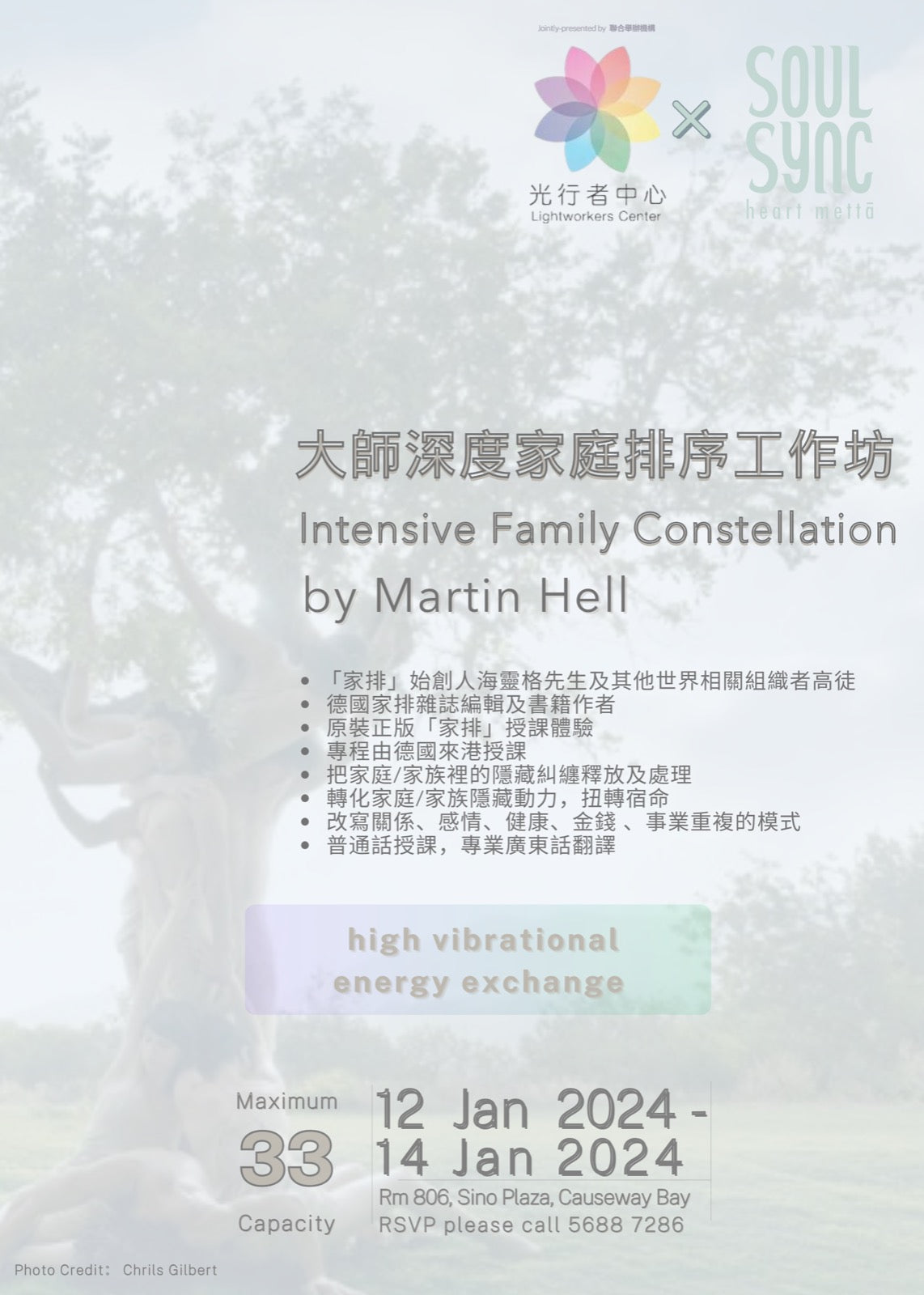 大師深度家庭排序工作坊