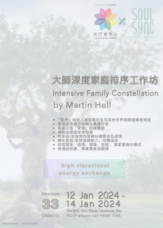 大师深度家庭排序工作坊